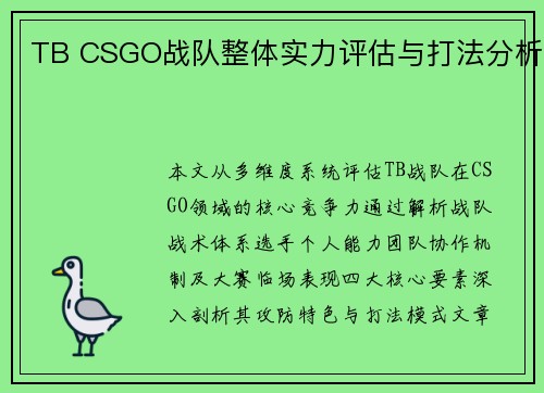 TB CSGO战队整体实力评估与打法分析